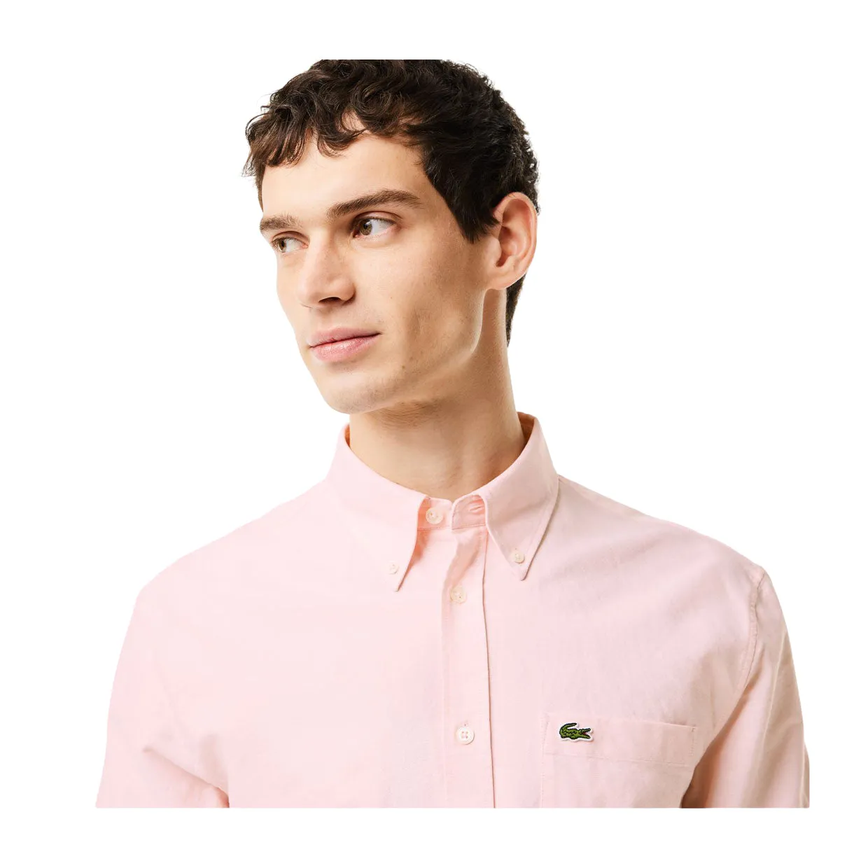 Camicia Uomo Lacoste Oxford Rosa
