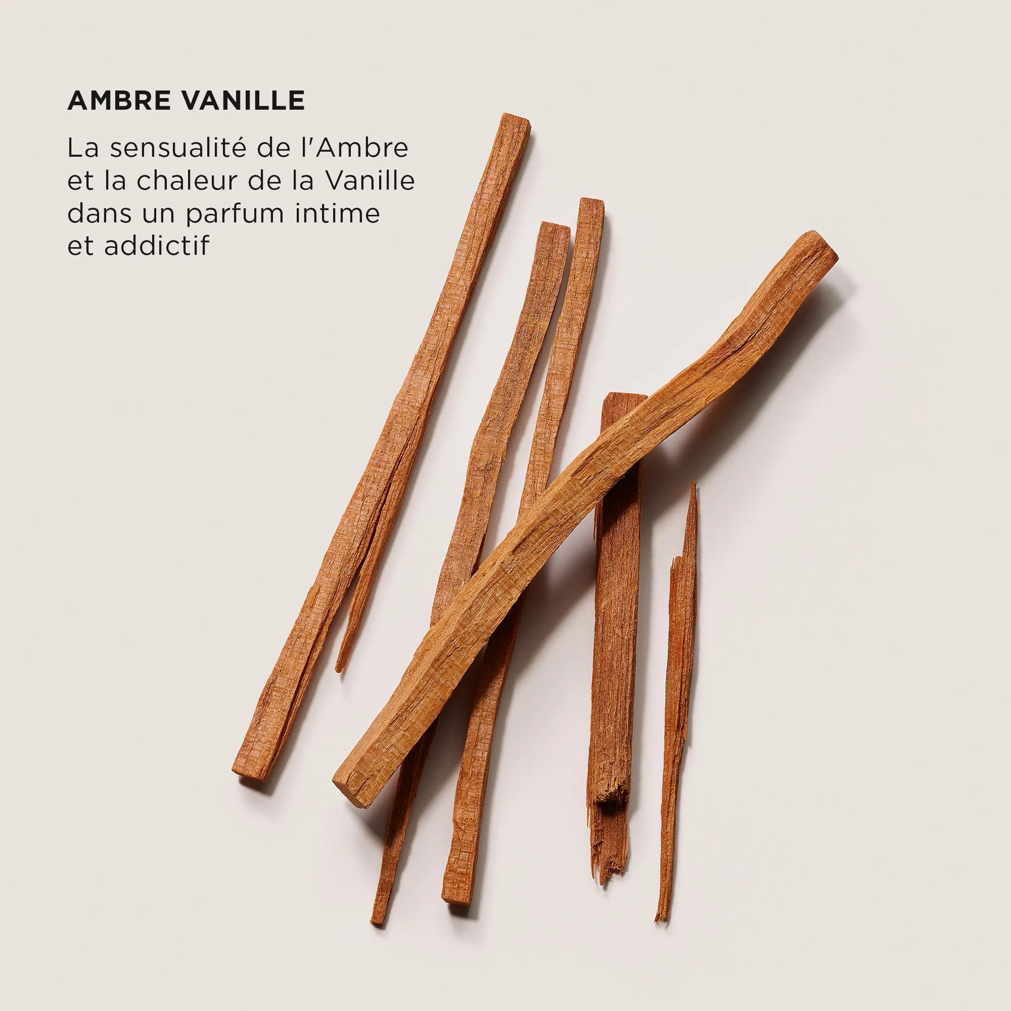  LAURA MERCIER   SERUM BODY CREAM - AMBRE VANILLE | 