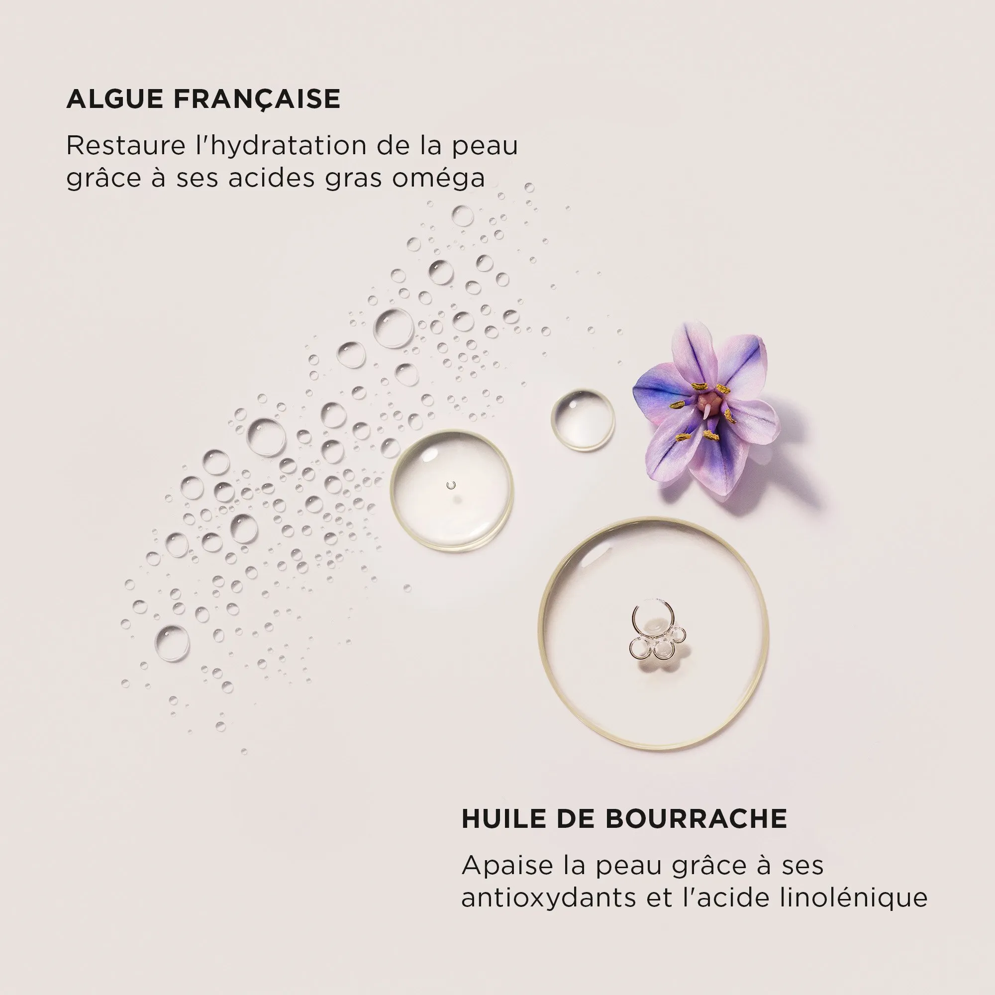 LAURA MERCIER   SERUM BODY CREAM - AMBRE VANILLE | 