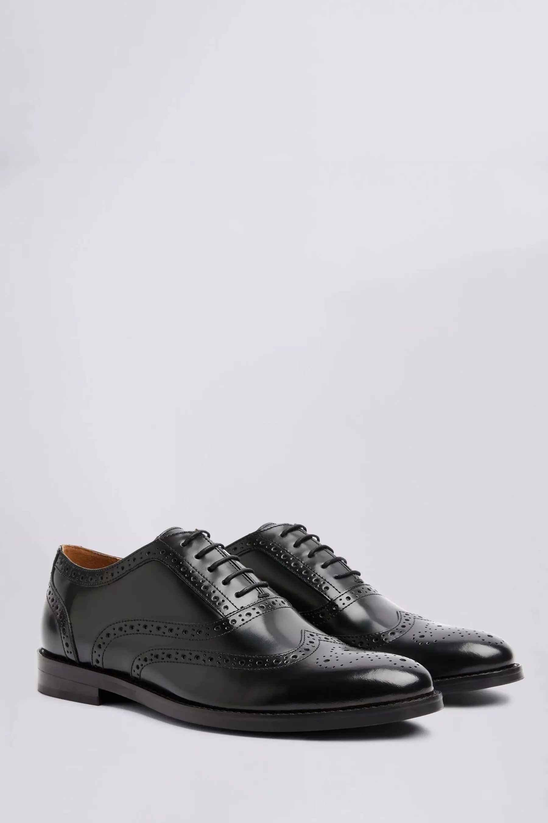 MOSS Oxford - Scarpe brogue    