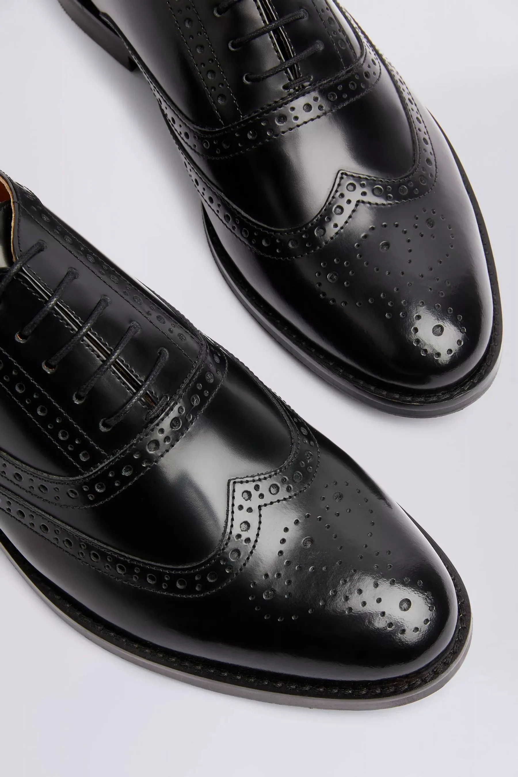 MOSS Oxford - Scarpe brogue    
